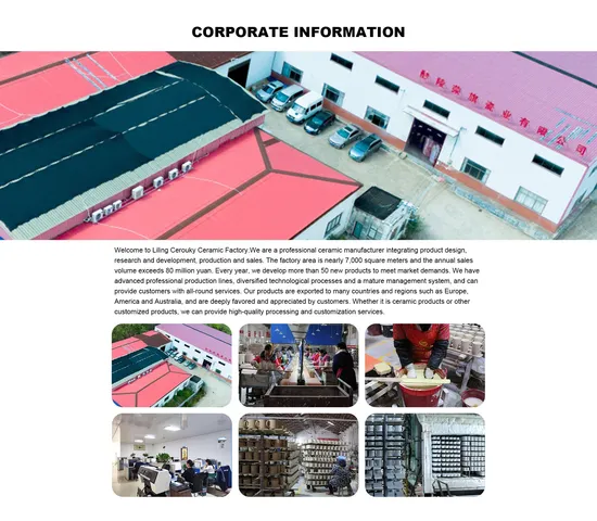 Wholesale Logo Reusable Rolled Rim Enamel Camping Coffee Tea Mug Stainless Steel Sublimation Handle Travel Printed Personalised